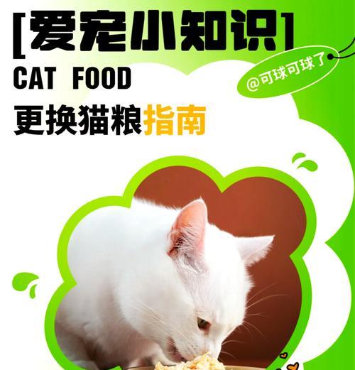 如何正确喂食大只猫粮以促进猫咪健康成长？