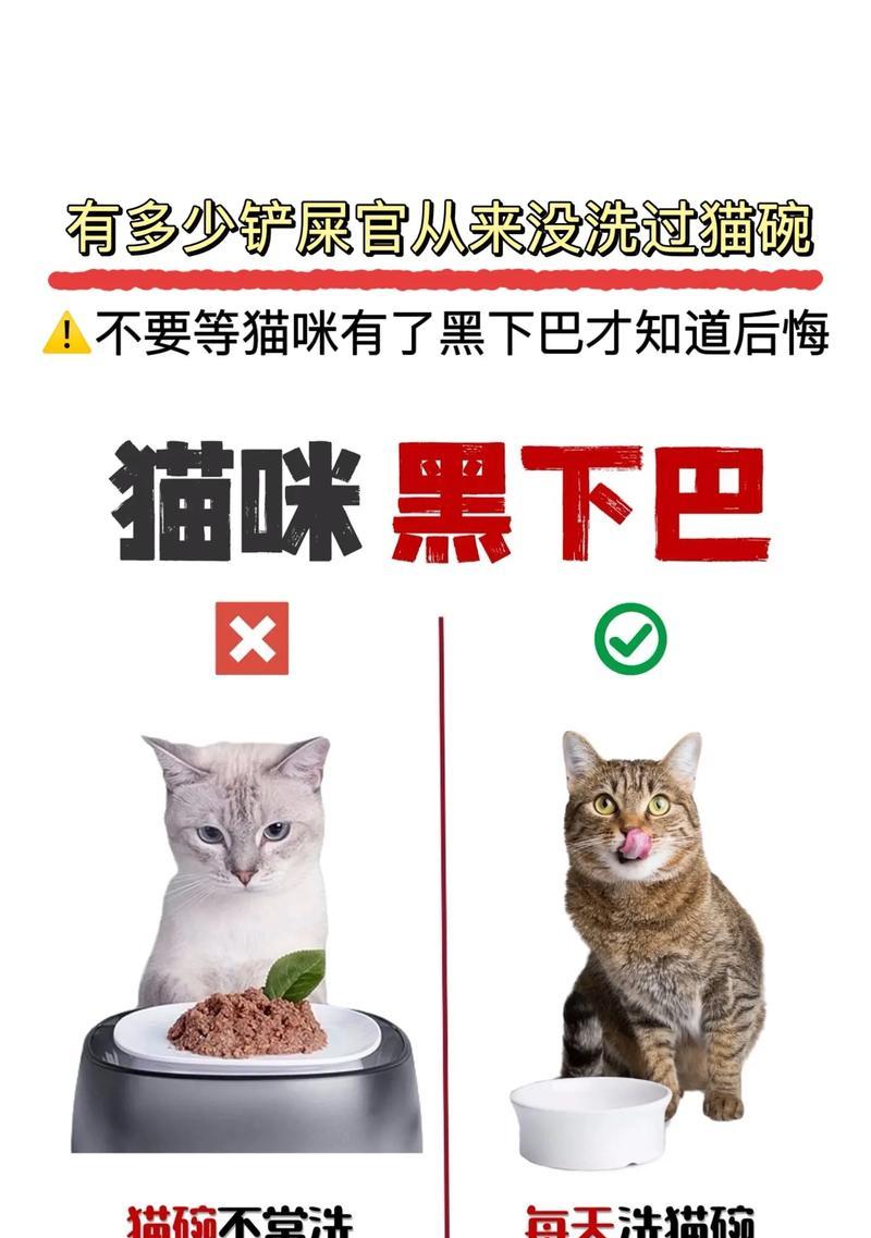 猫咪下巴沾有猫粮时如何清洗？