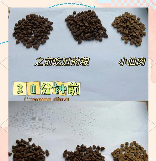 猫咪下巴沾有猫粮时如何清洗？