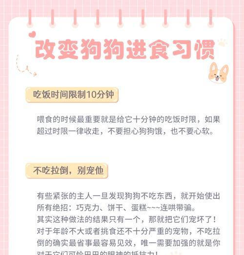 哈士奇挑食怎么办？如何改善饮食习惯？