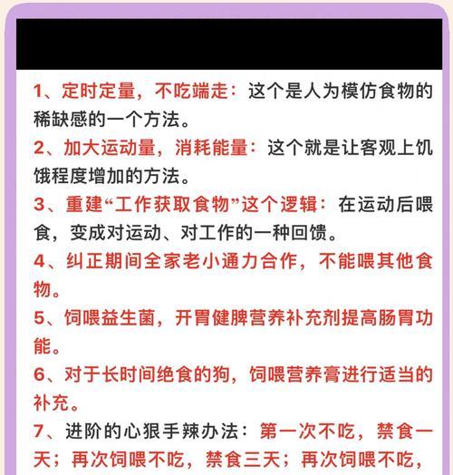 哈士奇挑食怎么办？如何改善饮食习惯？