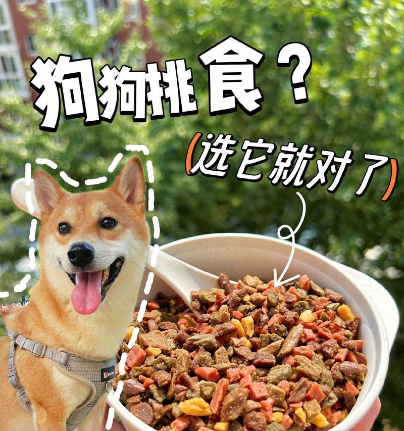 哈士奇挑食怎么办？如何改善饮食习惯？