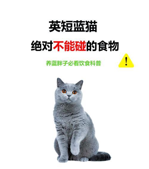 两个月大的蓝猫不吃猫粮怎么办？解决蓝猫拒食猫粮的方法是什么？