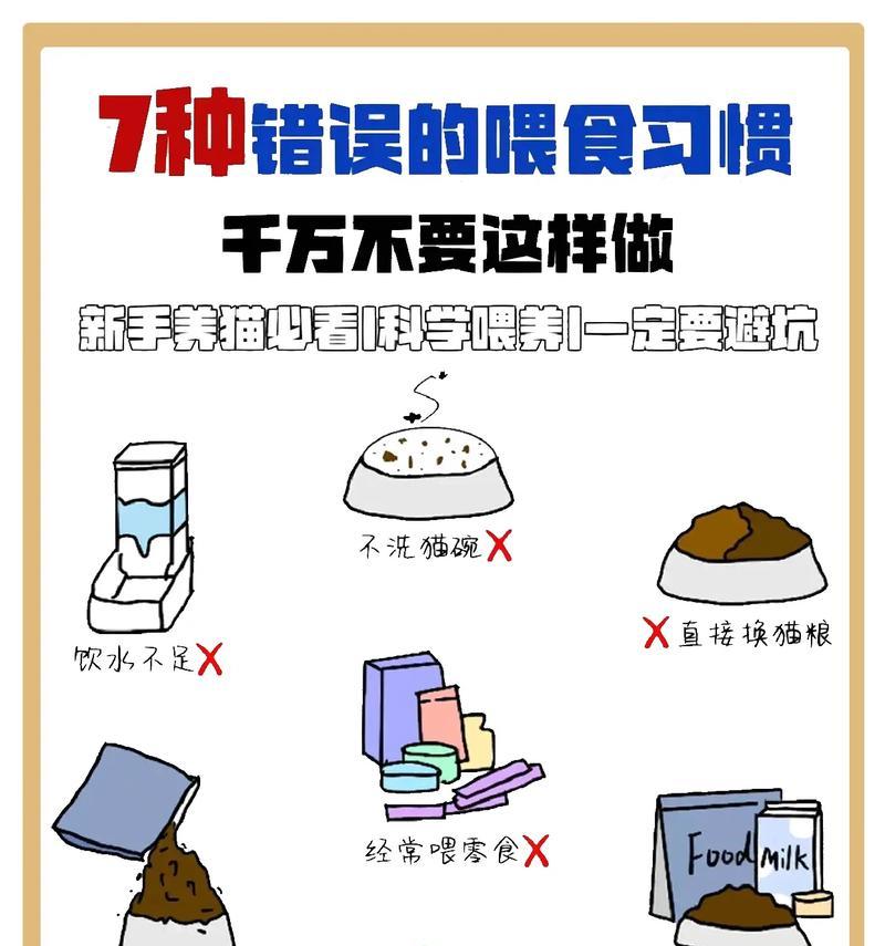 如何正确强喂猫咪猫粮？