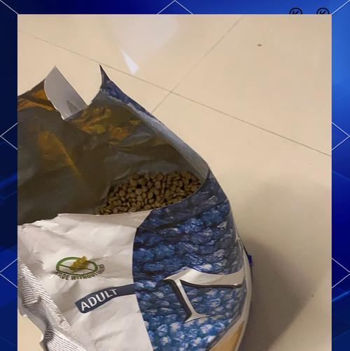 夏季如何正确储存猫粮以防止变质？有哪些实用技巧？