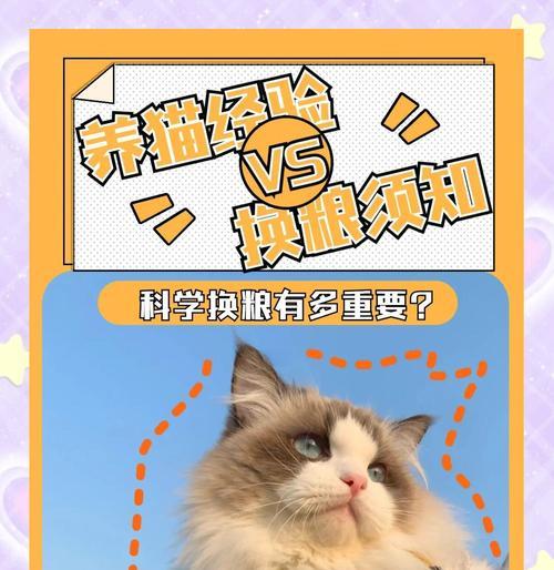 猫咪换粮后不吃新猫粮怎么办？有没有好的过渡方法？