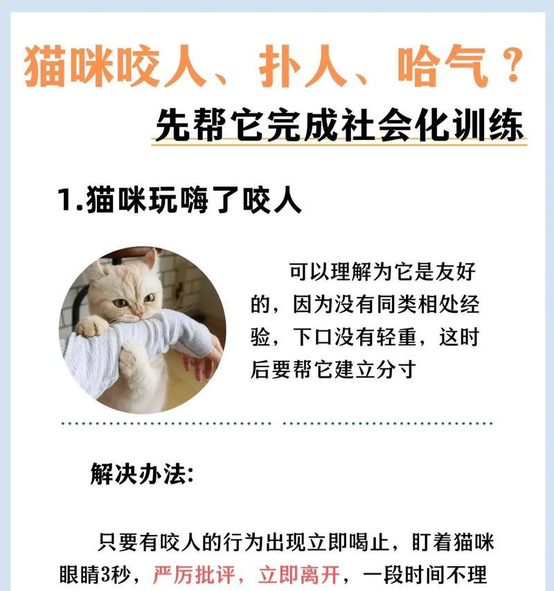 小猫学习咬猫粮的正确方法是什么？