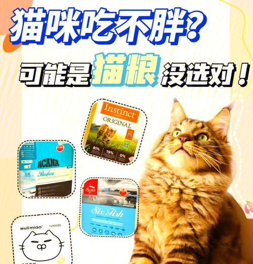 喂食猫粮导致猫咪肥胖的原因是什么？