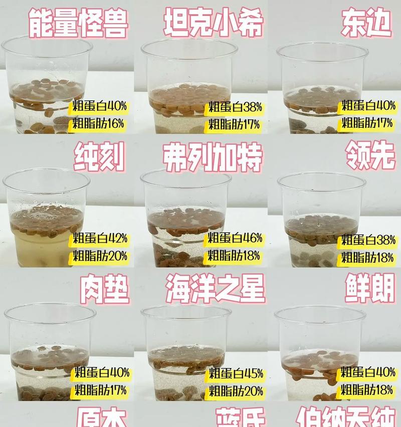 喂食猫粮导致猫咪肥胖的原因是什么？