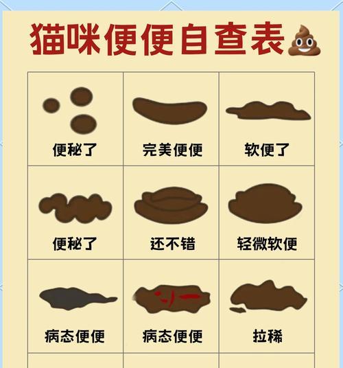 猫粮太硬会导致猫咪软便吗？原因是什么？