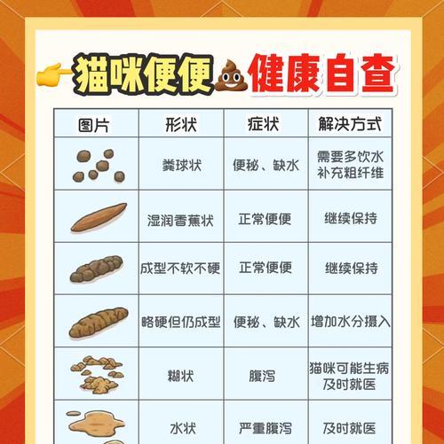 猫粮太硬会导致猫咪软便吗？原因是什么？