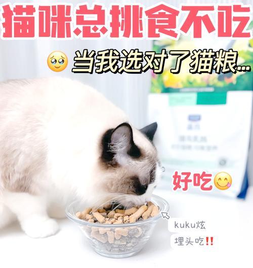 揍完猫之后猫吃猫粮会有什么反应？如何安抚猫咪？