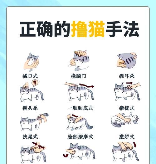 揍完猫之后猫吃猫粮会有什么反应？如何安抚猫咪？