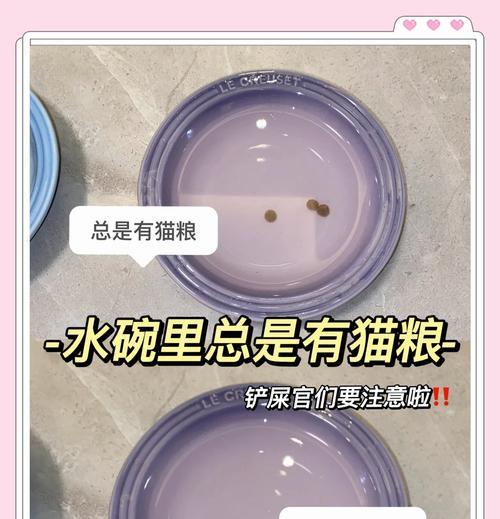 猫粮水碗放一起的潜在问题是什么？