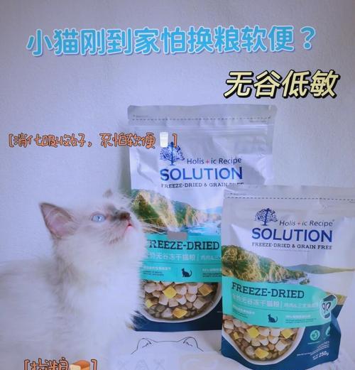 带芯片的猫粮机器名称是什么？它的工作原理如何？