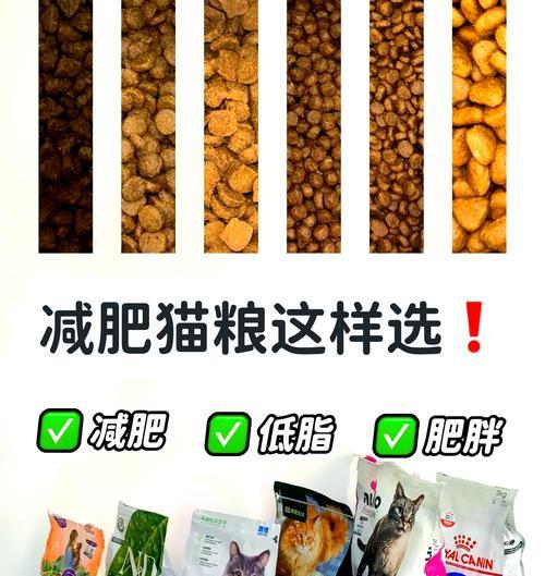 哪种猫粮适合绝育后控制体重？