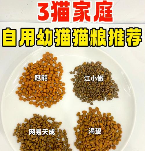 短脚猫适合哪种猫粮？如何为短脚猫挑选合适的猫粮？