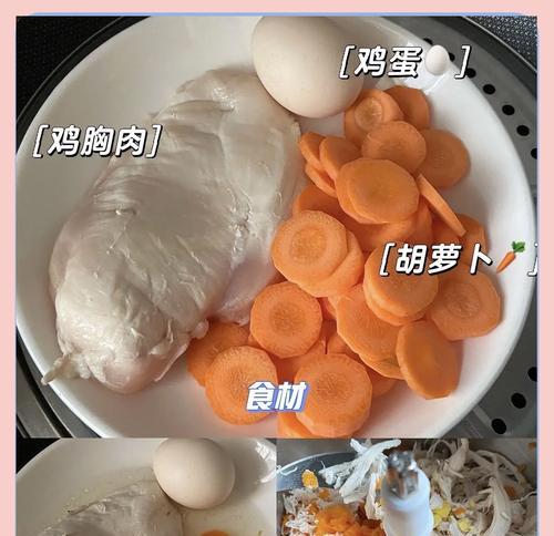 没有猫粮时如何制作美味猫饭？有哪些简单食谱推荐？