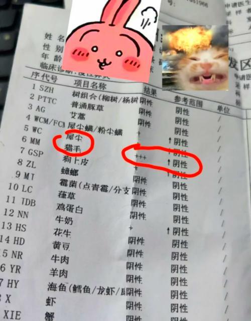 猫粮过敏会怎么样？猫粮过敏的症状和处理方法是什么？