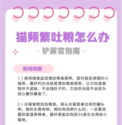 猫吐猫粮怎么回事？可能是哪些原因导致的？