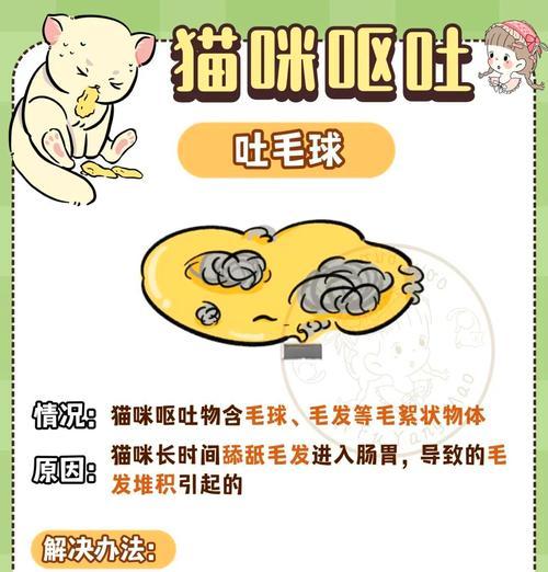 猫吐猫粮怎么回事？可能是哪些原因导致的？