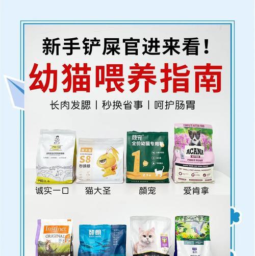 野猫幼猫如何喂食猫粮？喂养野猫幼猫的正确方法是什么？