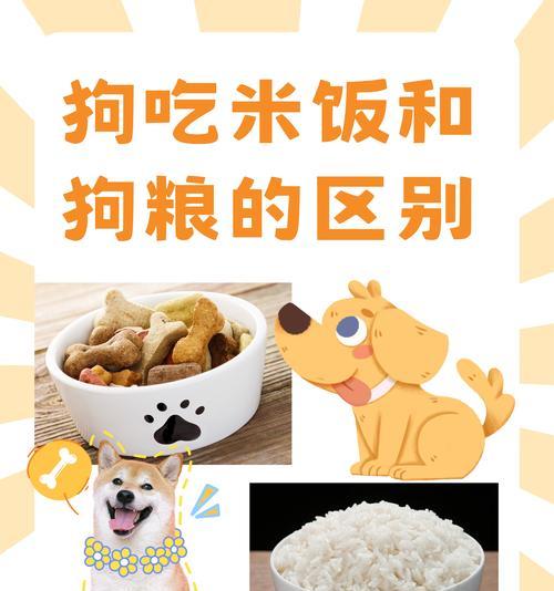 德牧喂食玉米面的正确量是多少？