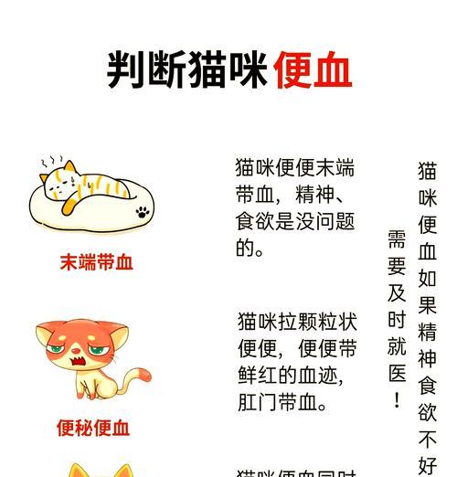 猫换粮便血是什么原因造成的？换粮过程中应该注意什么？
