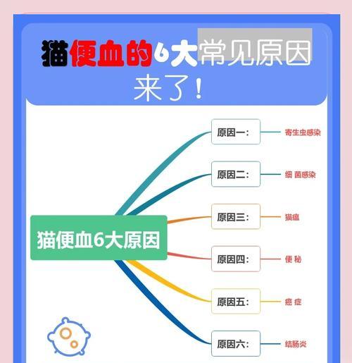 猫换粮便血是什么原因造成的？换粮过程中应该注意什么？