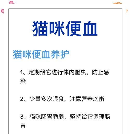猫换粮便血是什么原因造成的？换粮过程中应该注意什么？