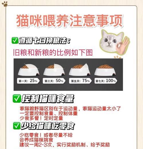 新手猫喂什么猫粮合适呢？如何选择合适的猫粮？