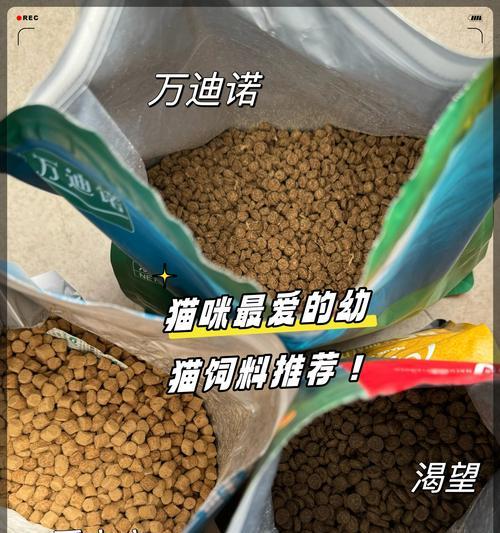 哪种猫品种喜欢沉水猫粮？
