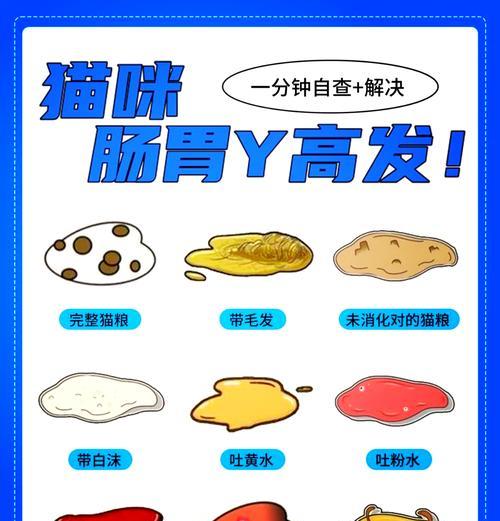 猫咪呕吐完整猫粮的原因及处理方法？