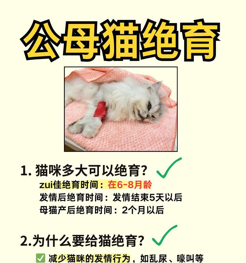 猫刚绝育后吃猫粮会有什么反应？