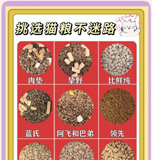 领养的猫咪应该选择哪种猫粮？