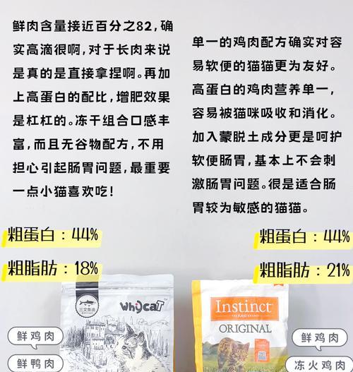 猫舍销售猫粮的现状如何？
