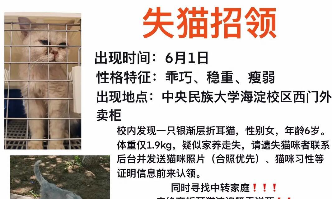 赠送救助猫粮是否违法？如何举报相关违法行为？
