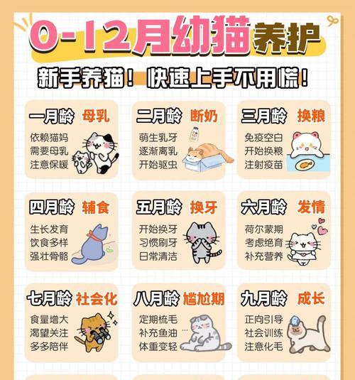 幼猫奶粉拌粮的正确喂法是什么？