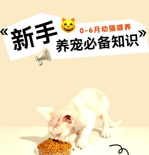 幼猫奶粉拌粮的正确喂法是什么？