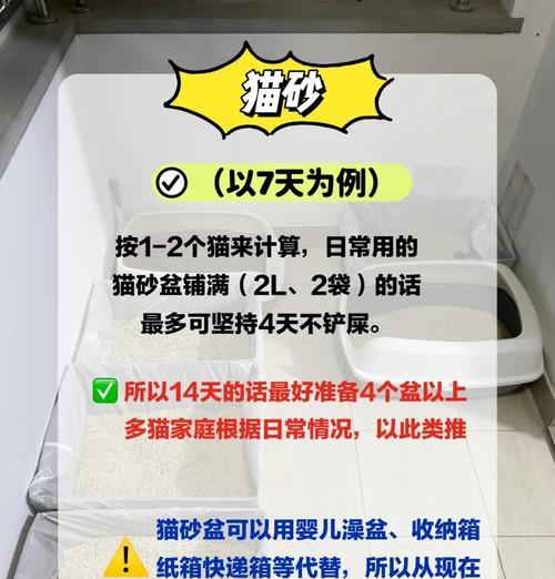 留守猫咪的猫粮应如何准备？