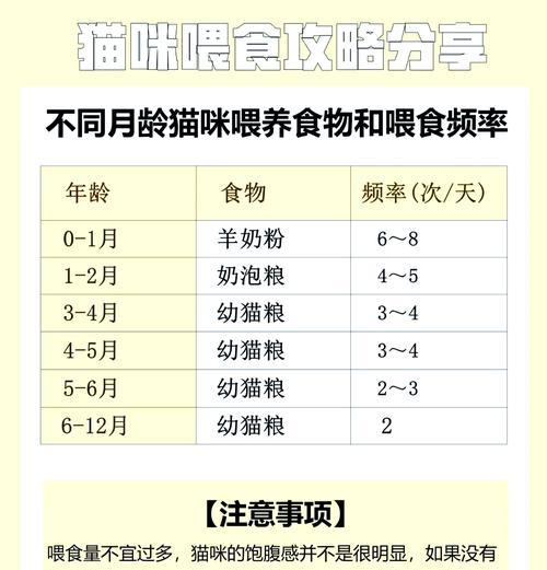 小猫也想吃猫粮是为什么？
