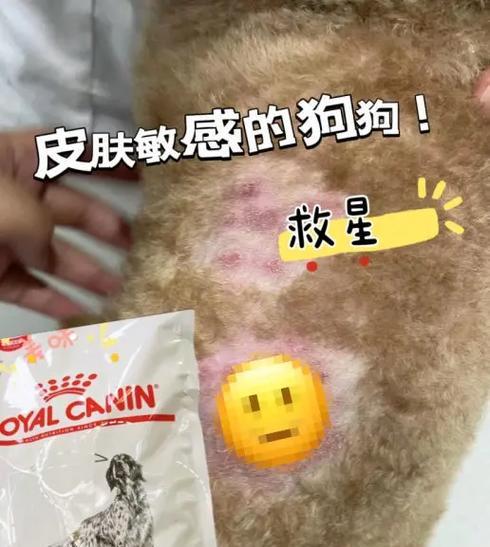 狗肠切除只能处方粮吗为什么？处方粮对术后狗狗的重要性？
