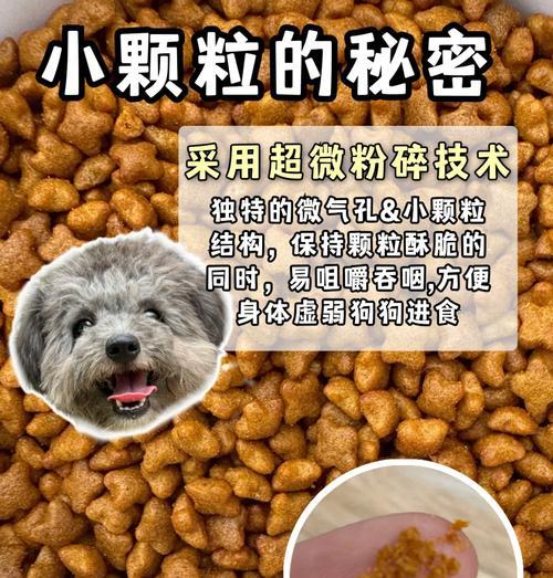 狗肠切除只能处方粮吗为什么？处方粮对术后狗狗的重要性？