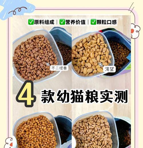 幼猫初到家应选择哪种猫粮？