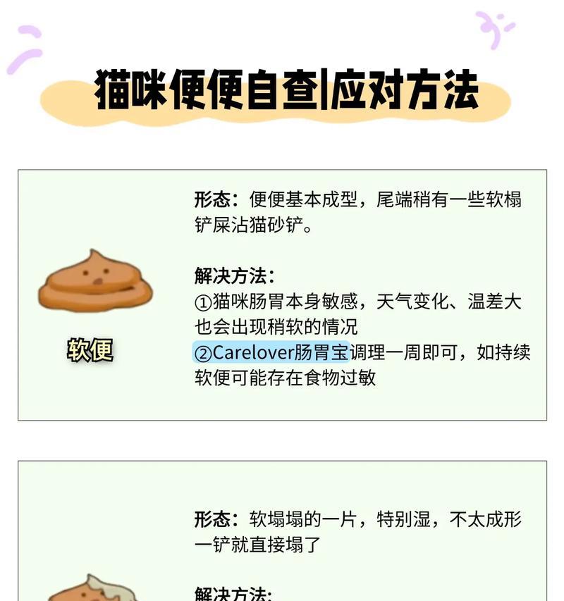 无谷猫粮导致猫咪排便臭怎么办？有解决方法吗？