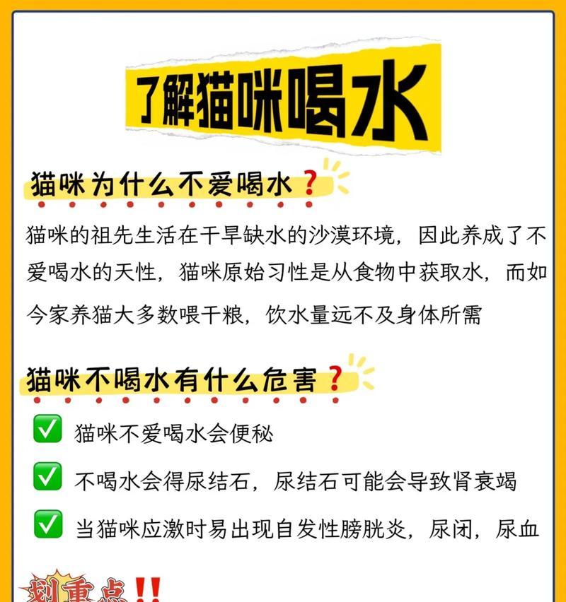 猫咪只喝水不吃猫粮是为什么？