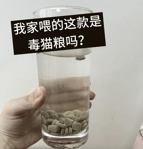 猫粮泡水后如何压成泥状？有什么技巧？