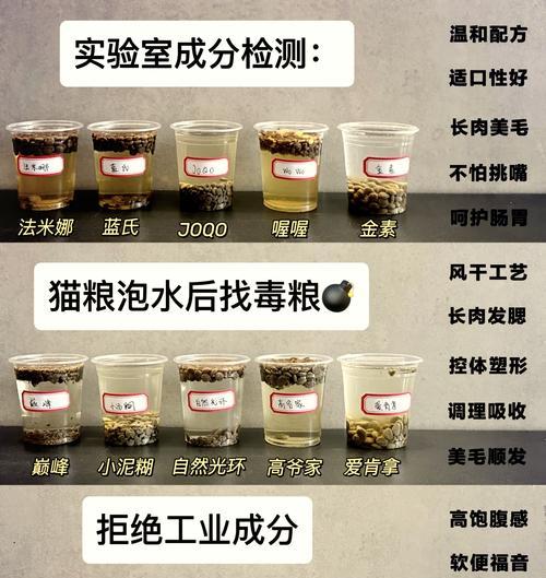 猫粮泡水后如何压成泥状？有什么技巧？