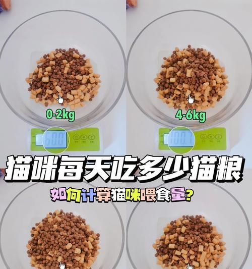 两个月大的猫咪应该吃什么猫粮？