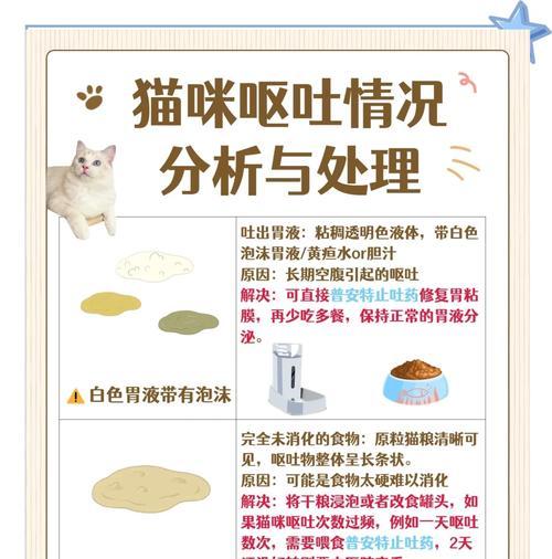 猫吃猫粮就吐是为什么？如何解决猫粮引起的呕吐问题？